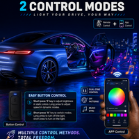Dynamic Color Chasing Interior LED Ambient Light Kit